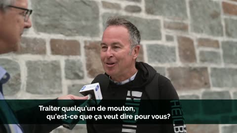 Traiter quelqu'un de mouton qu'est-ce que ça veut dire pour vous?