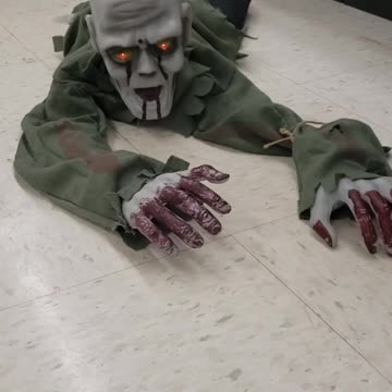 The WALKiNG DEAD met my FRiENDLY CHAiNSAW