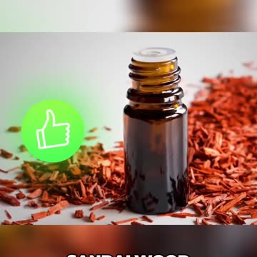 Unlock the Superpower of Your Hair: How Scents and Sandalwood Influence Your Senses