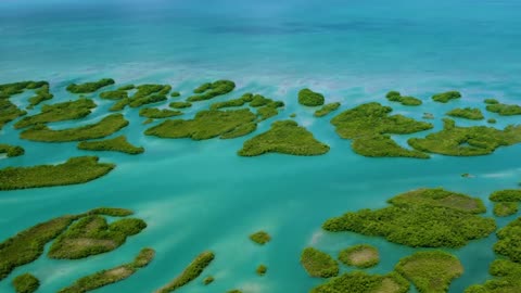 Belize: Nature & Wildlife