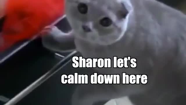 Where’d you put the nip ShaRon!
