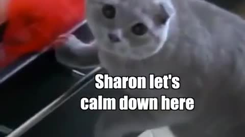Where’d you put the nip ShaRon!