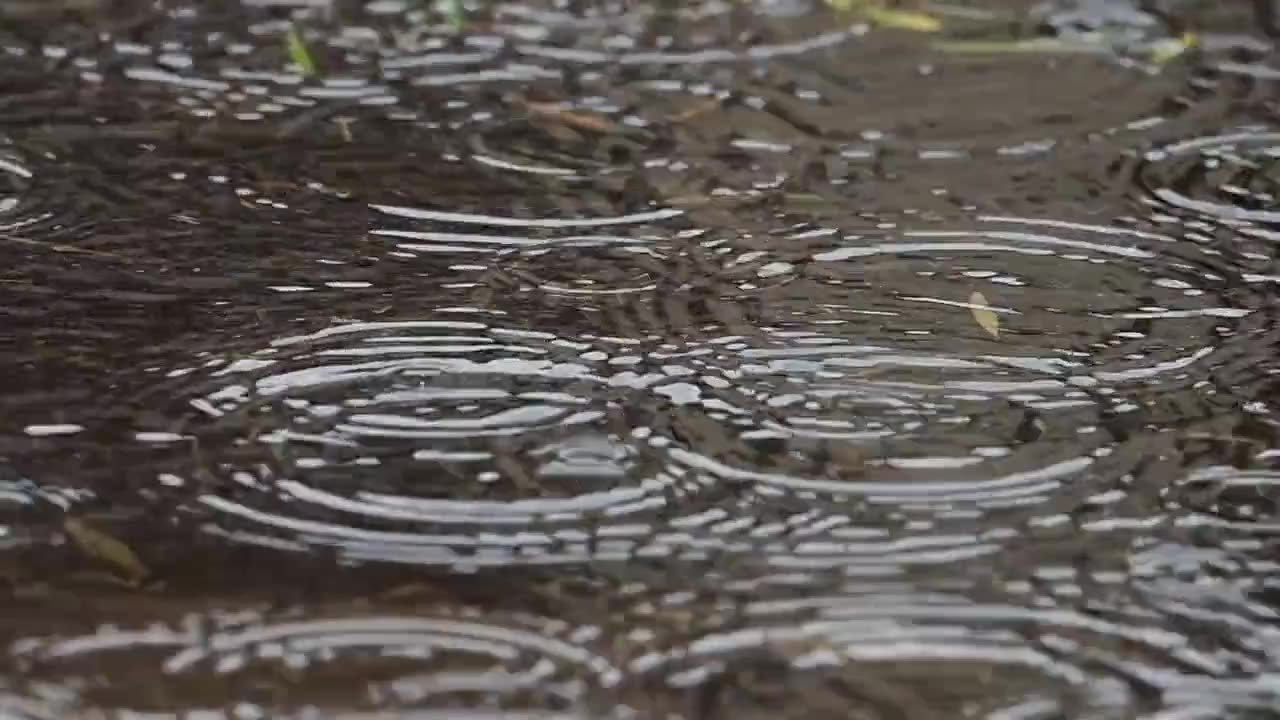 Rain Sounds For Sleeping - 99% Instantly Fall Asleep With Rain And Thunder Sound At Night