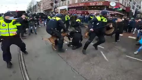 poltie slager eenheid