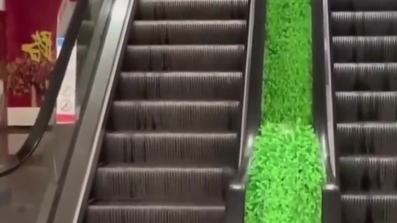Funny video