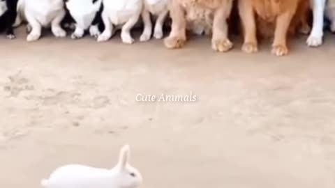 Funniest Videos 2023 😅