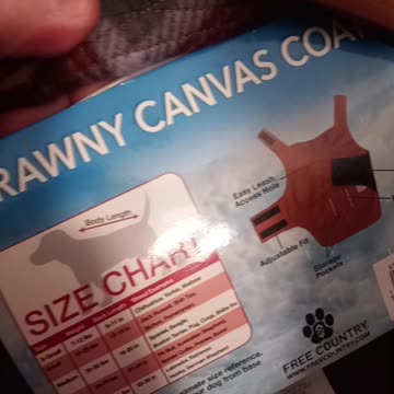 German shepherd's Christmas gift!