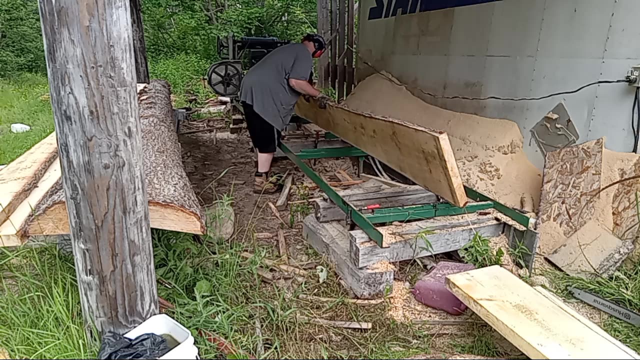 Sawing 17 foot spruce part 2