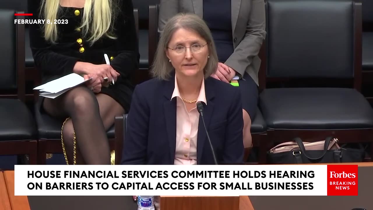 'Most Ideas Shouldn't Be Funded'- Brad Sherman Urges Restraint In Capital Access For Small Business