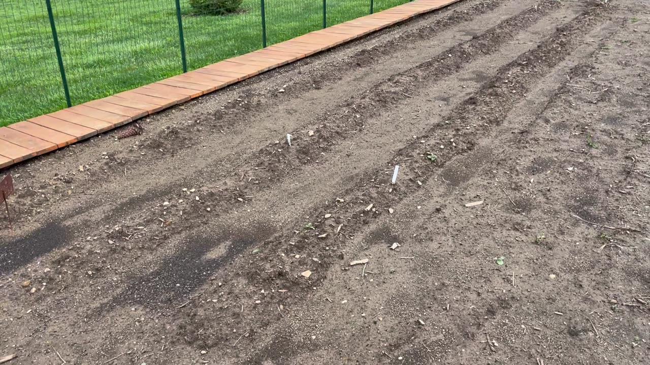 Garden Update April 30 2023