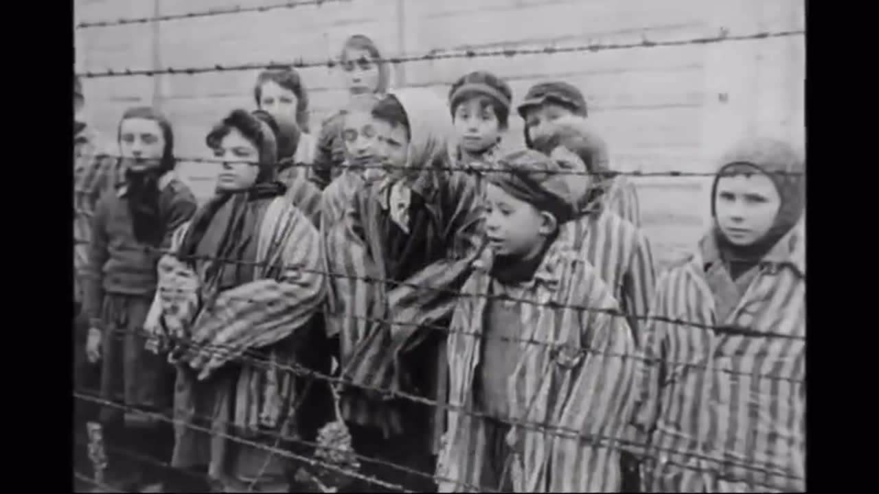 David Cole Jewish Revisionist "Cole in Auschwitz" edited version of his work (1992)...
