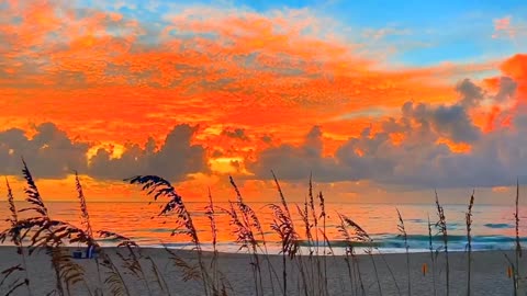 If you like it, don't regret it. If you regret it, don't like it.