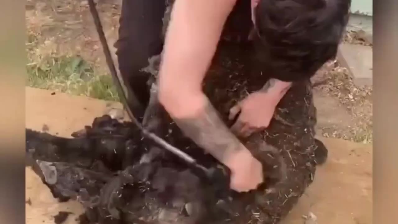 Satisfying Videos of Workers Doing Their Job Perfectly ▶10