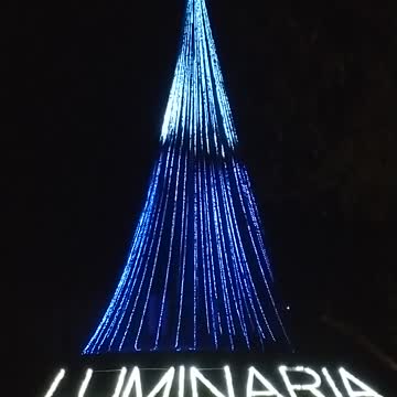 Christmas Tree At Thanksgiving Point