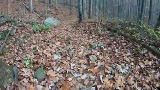 77_10Explores Debord Falls, Emory Gap Falls at Frozen Head State Park