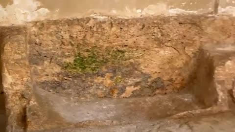 Tomb of jesus