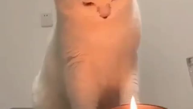 Playing with candles!!