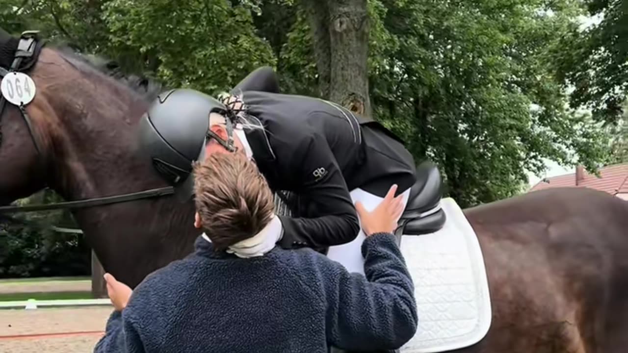 Danke Daristander 🖤 IG：annchen.augustine #fy #foryou #equestrian