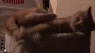 TEST VIDEO ON RUMBLE.