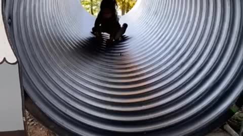 At the farm