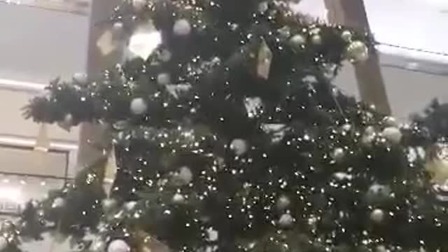 Beautiful Christmas tree