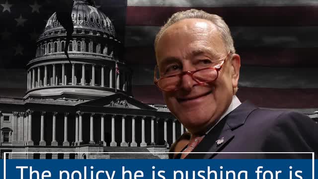 Senator Schumer: “We need Amnesty for all 11 million or however many” Illegal Aliens are in the US