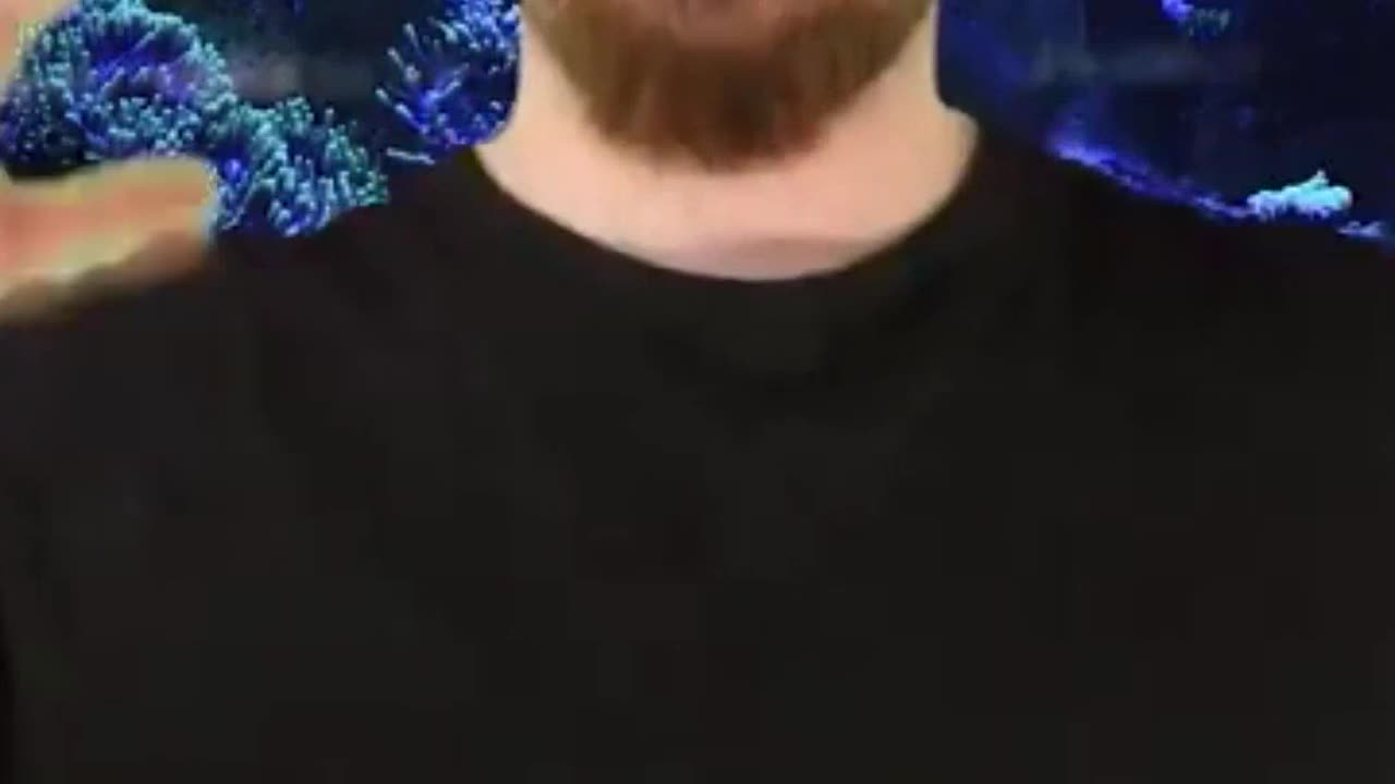 The Terrifying Dive That Ended in Tragedy Yuri Lipskys Final Moments