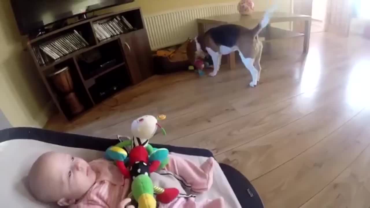 Funny Baby with little dog