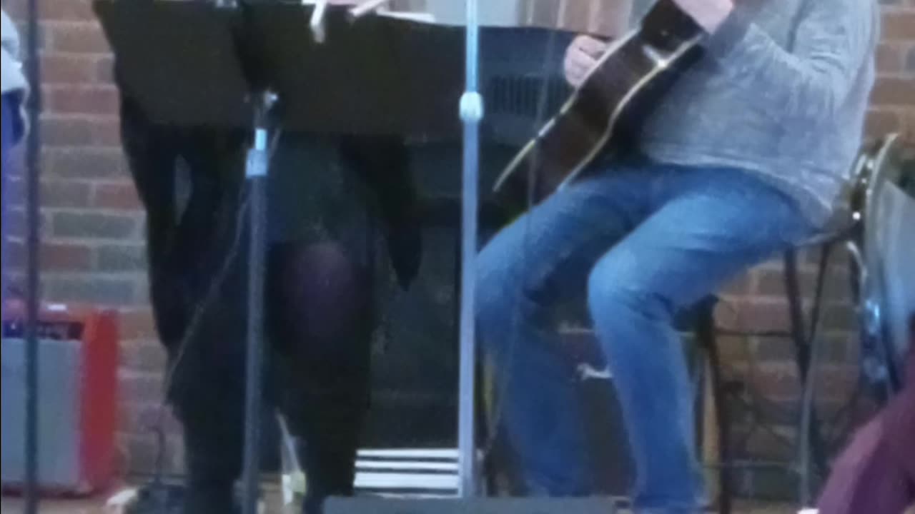 Night Owl Cats go out walking after midnight