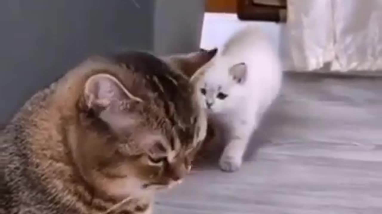 😂😂😂