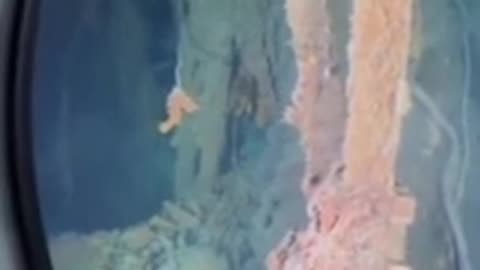 내실 닉타이타 전직 몰침