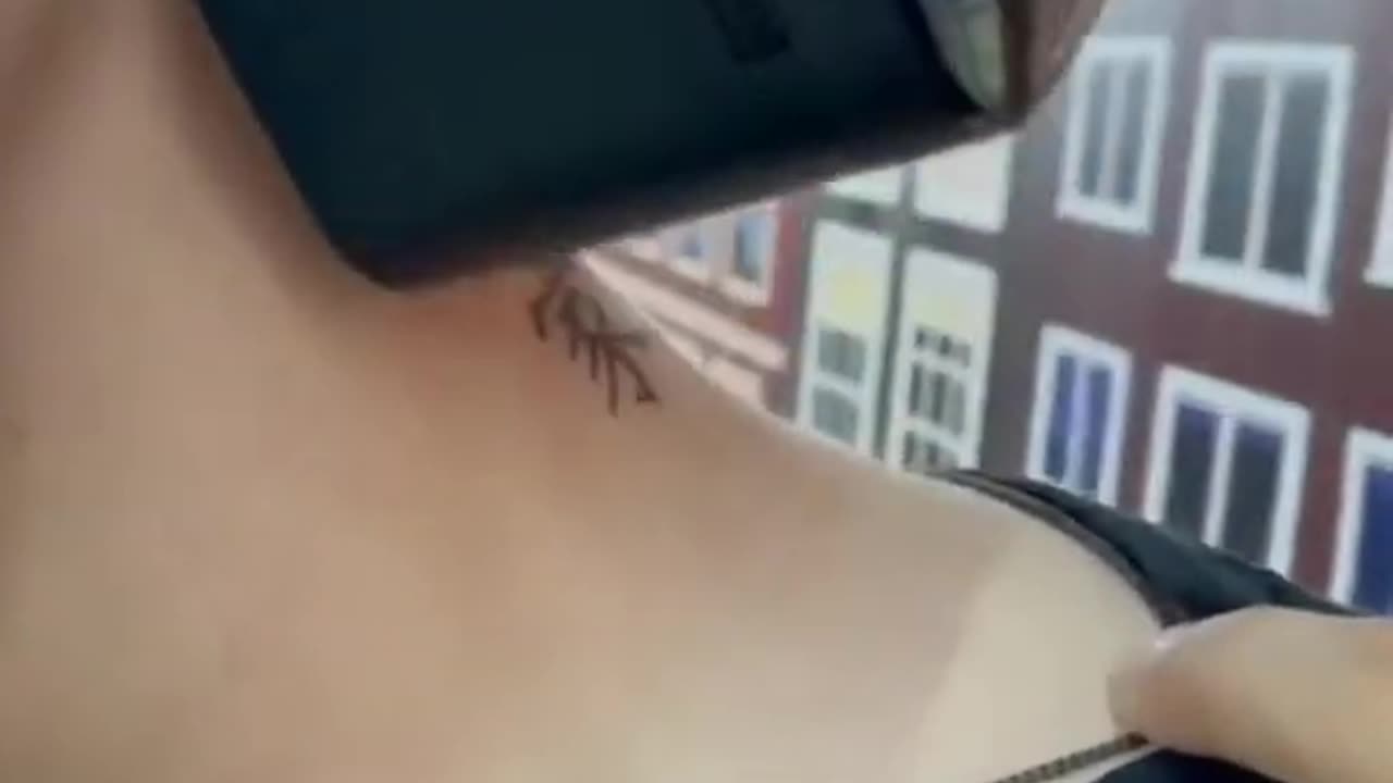 AMEZING .......TATO TECHNOLOGY