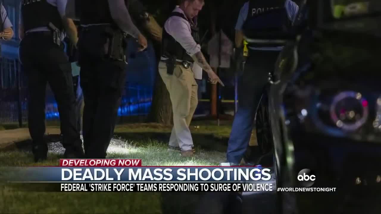 Deadly shootings in Chicago spark action on guns