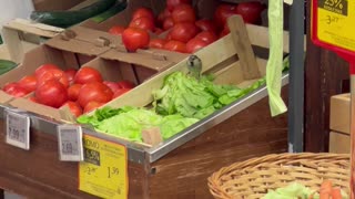 Bird Gets Free Lettuce at Market in Romania