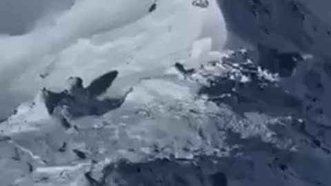 Avalanche with lucky boy 🙏