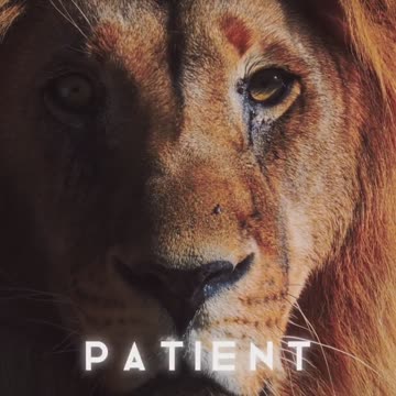 Better days are coming ! Joy Funny Factory