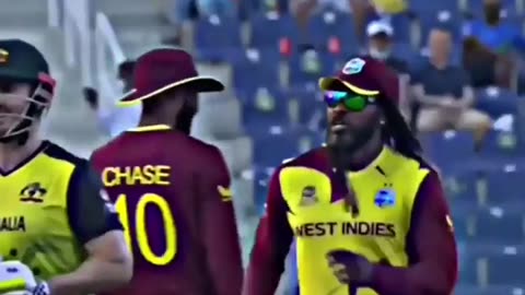 Chris Gayle funny moments