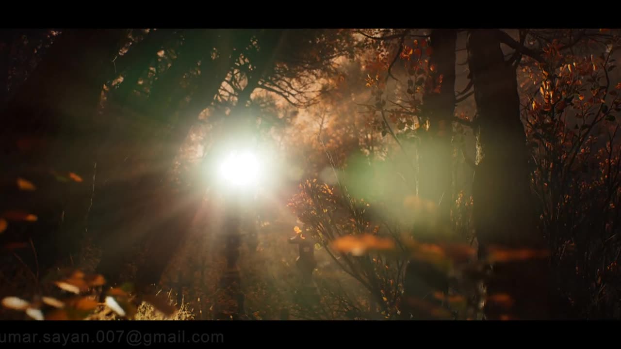 Unreal engine 5.0 | Lightning | Misty forest