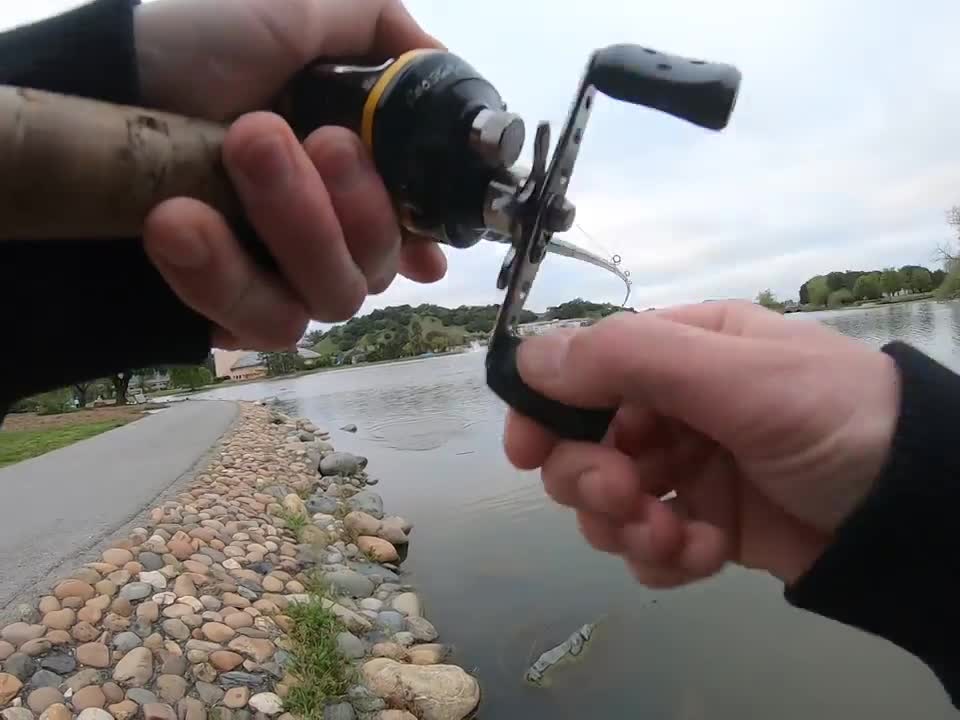 Chatterbait Bass Fishing