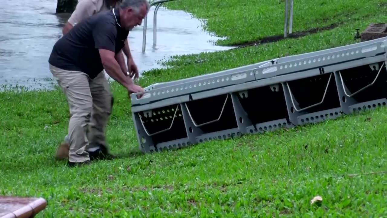 A crocodile is pulled out of Australia floodwaters