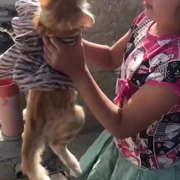 Bombing killed our cat. The reality for some children under occupation assault.