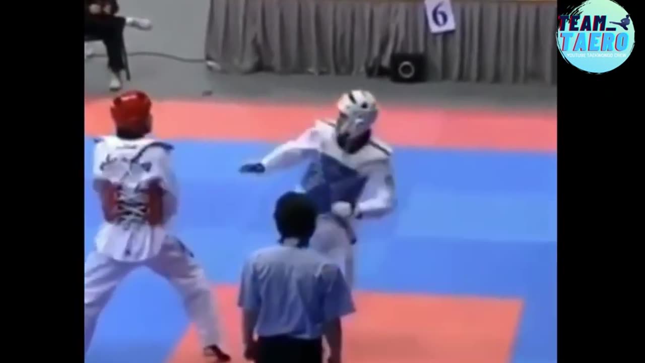 Taekwondo Back kick KO Compilation