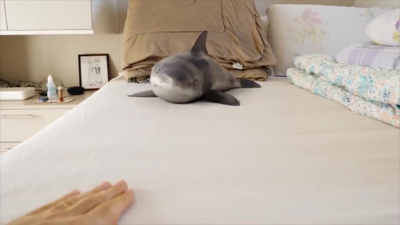 Baby Shark answering the call