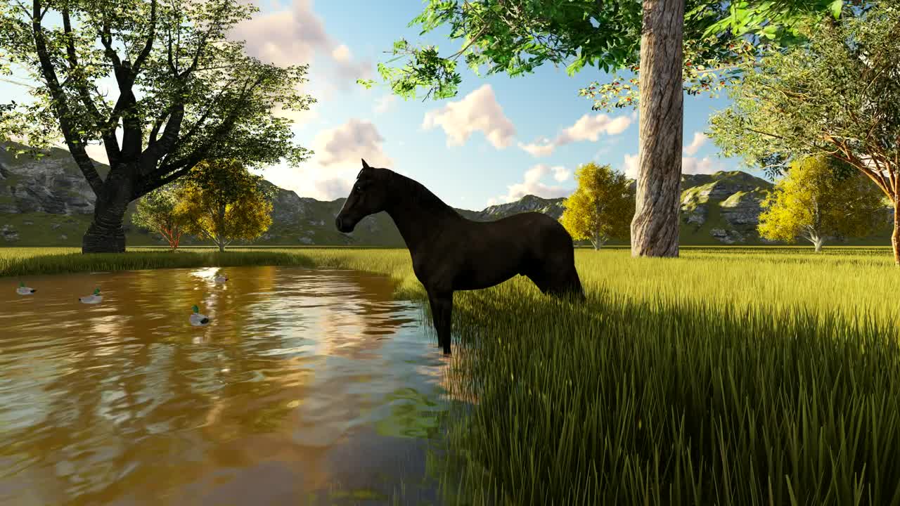 Horse drinking water