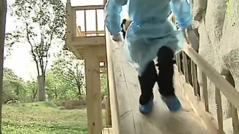 Cute pandas playing on the slide