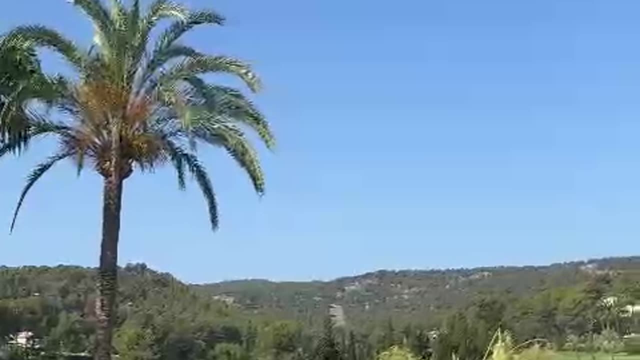 Focus on the REMOVAL of ByeDAN 🎯 When that happens 💥💥💥💥🔥