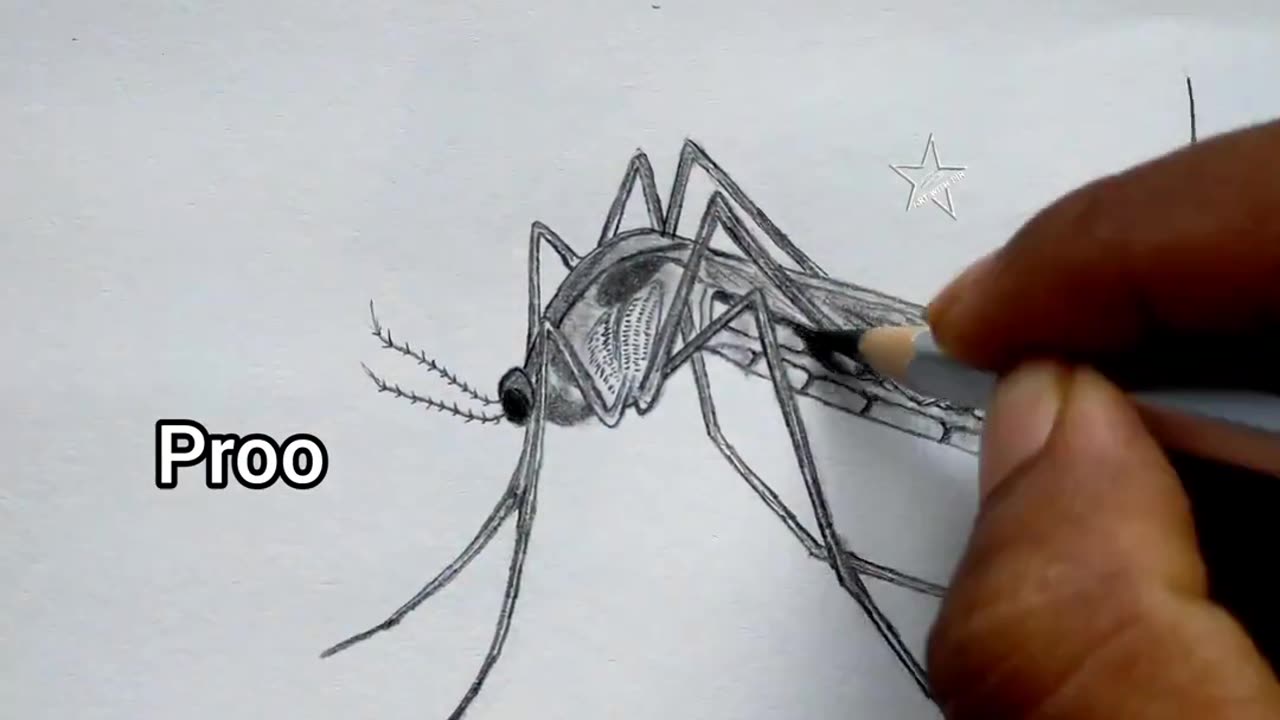 how to draw a mosquito art drawing