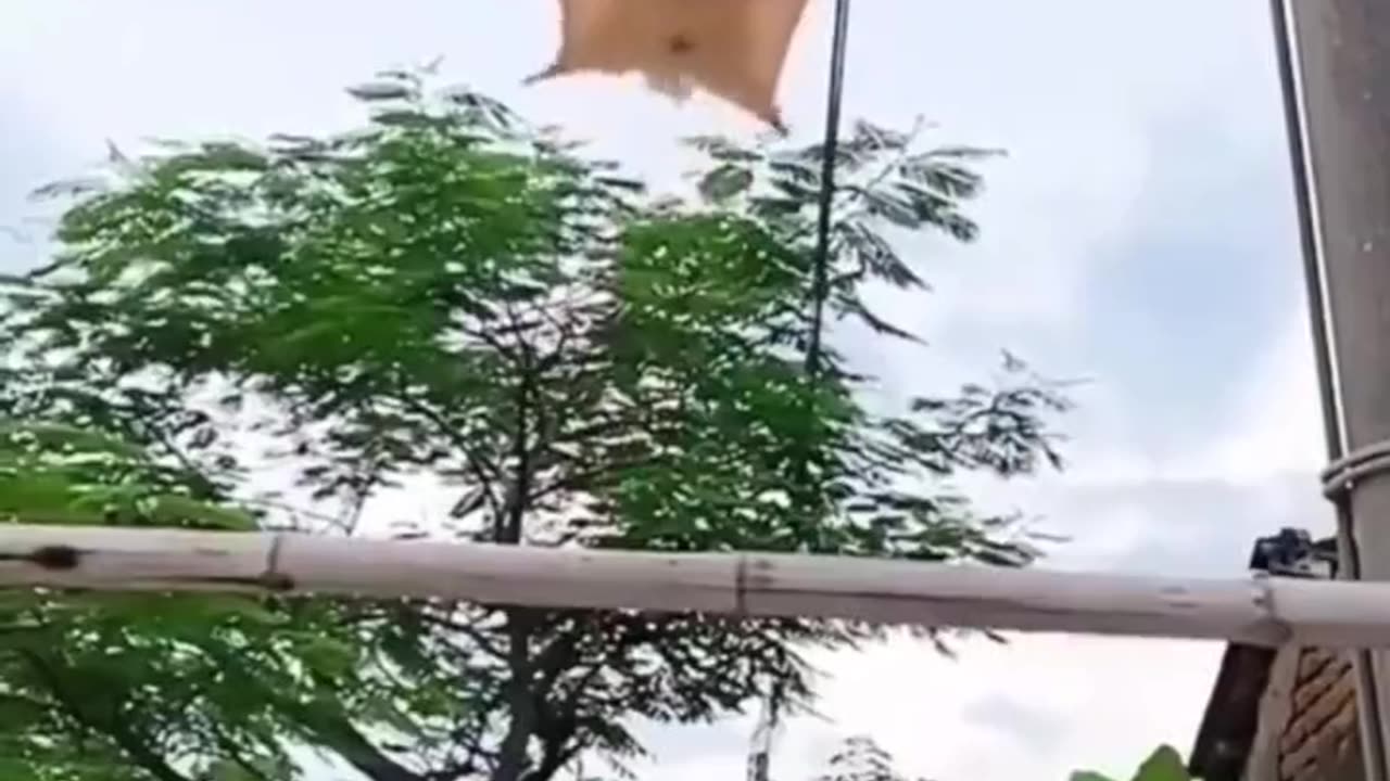 Landing