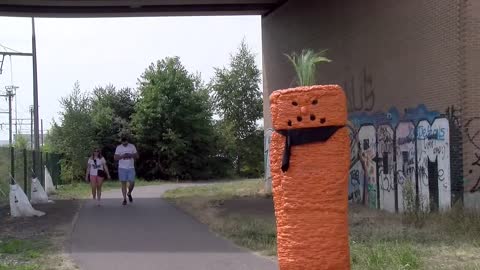 They Scream like they've Never Seen a Carrot Before !! Angry Carrot Prank