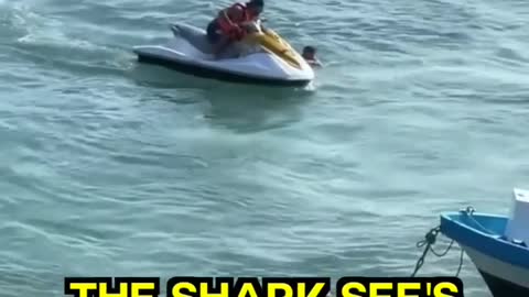 Shark 🦈 Attack a man